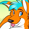 avifox avifox