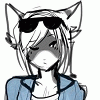 avvycat