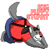 bigpuppy_stuart