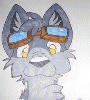 breadfox breadfox