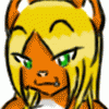 clarakitty