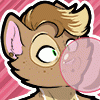 Cookiekitty