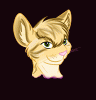 darthmeow