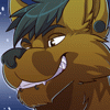 dbwolf