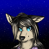EclipsedHusky