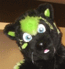 fuzzyzf fuzzyzf