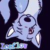 iceflow iceflow