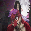 jfoxxsuiting