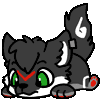 Koya_The_NightWolf