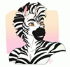 lockiezebra