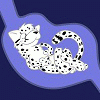 Lukesnowcat