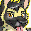 nitroshep
