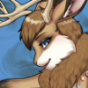 rabbitdude rabbitdude