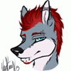 rexcanis rexcanis