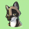 robcivecat robcivecat