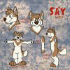 sayderwolf