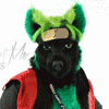 shastawolf87