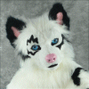 shuri