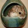 SiberHamster
