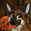 sikispots