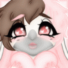 SmollBunBun