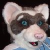 sneakyferret