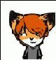 steve_fox