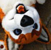 SweaWolf