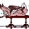 takufoxy