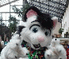 tigergoof
