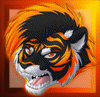tigon tigon