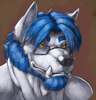 alexwolf