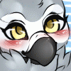 featherbutt