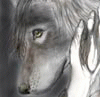 hackwolve