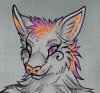 minou_dechat