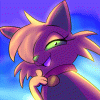 NoriTheCat