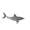 SHARKBAIT.