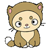 whitty.kitty