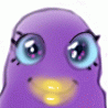 cepip
