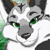 kenovawolf