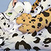 Kierish