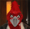 Manu_Koa_Suit