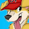 murphmongrel