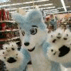 snowflake_husky