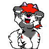 starkitty