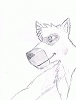steampunkwolf