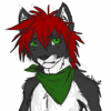 wandererwolf