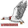 wonderduck