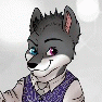 Calypso_Husky