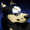 corsedingo corsedingo